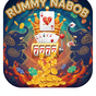Rummy Nabob app icon — India APK listing